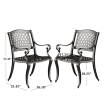 CAYMAN ARCH MESH I CHAIR(set of 2)