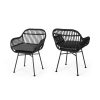 Orlando Faux Rattan Chairs (Set of 2) , Dark Gray Finish