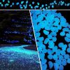 Outdoor Luminous Stones 100Pcs Glow in The Dark Pebbles Garden Moonlight Stones